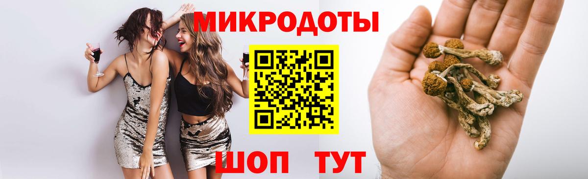 Псилоцибиновые грибы Cubensis Краснокамск