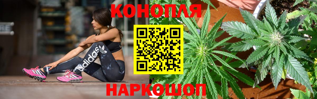 Шишки марихуана планчик  Канабис ГИДРОПОН  Краснокамск  Бошки марихуана VHQ  Вход с VPN  Марихуана гибрид 
